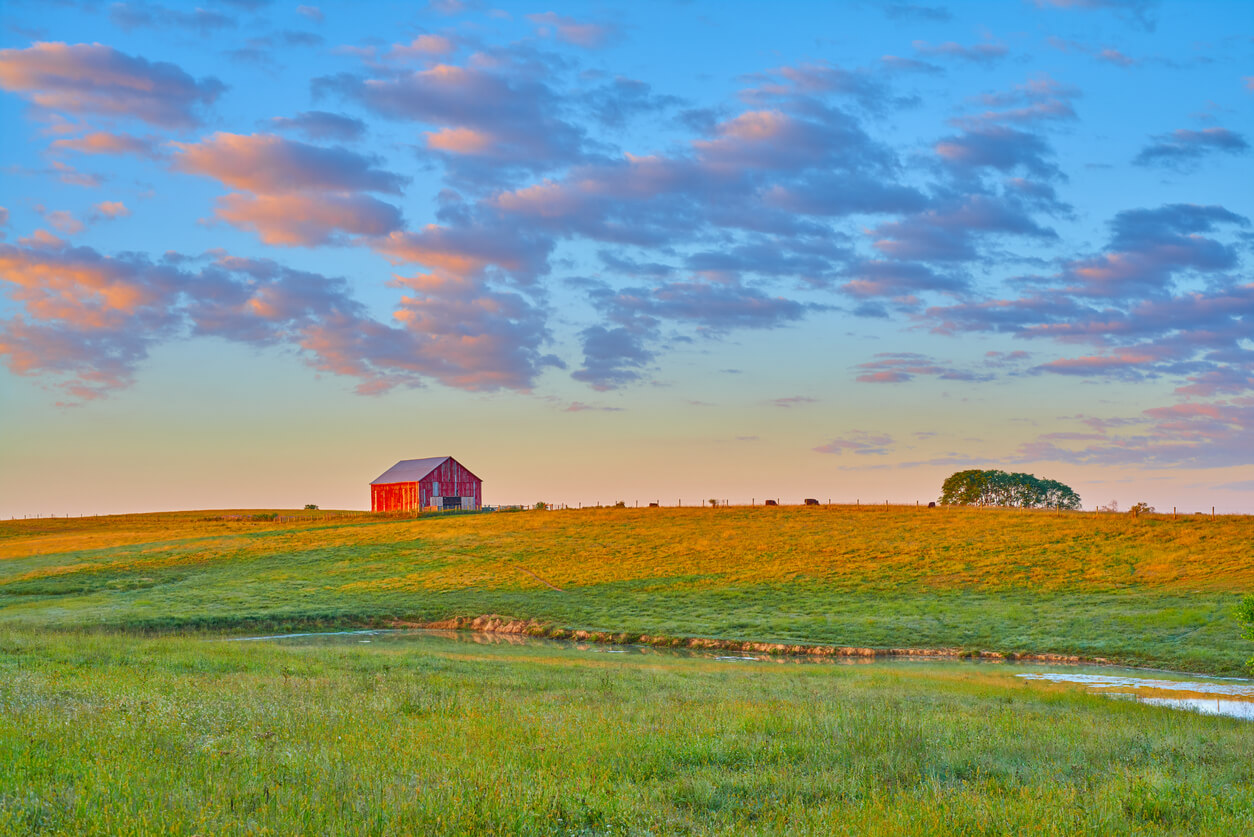 Featured image for “Understanding Land Trusts: Title-Holding Land Trusts”
