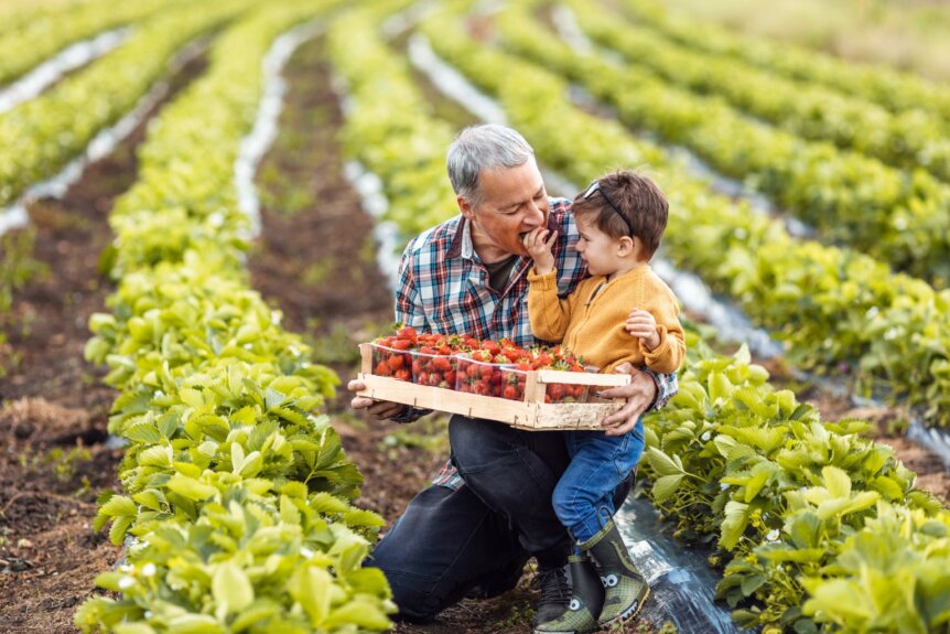 Divorce and the Family Farm in Illinois: What Every Spouse Should Know