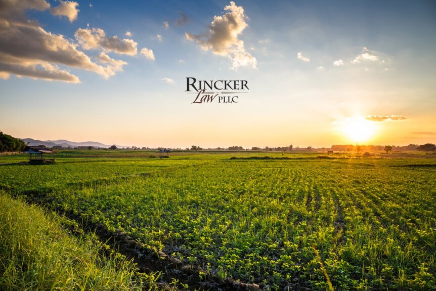 Should You Form an LLC for Your Farm? A Guide for Illinois Agricultural Businesses