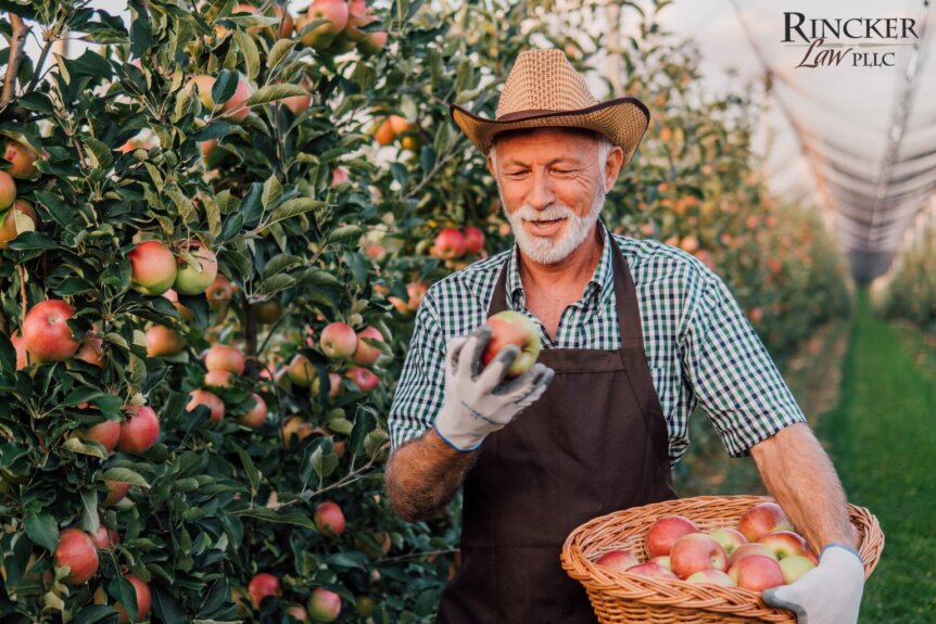 Hiring Seasonal Farm Workers in Illinois: What You Need to Know About Ag Labor Laws