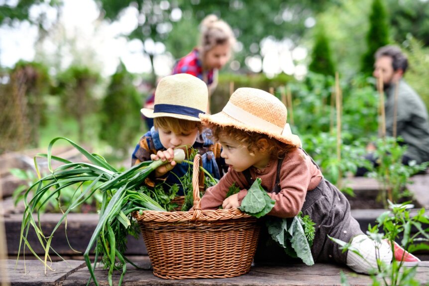 Farm Prenups in Illinois: 5 Key Clauses to Protect Your Land and Business