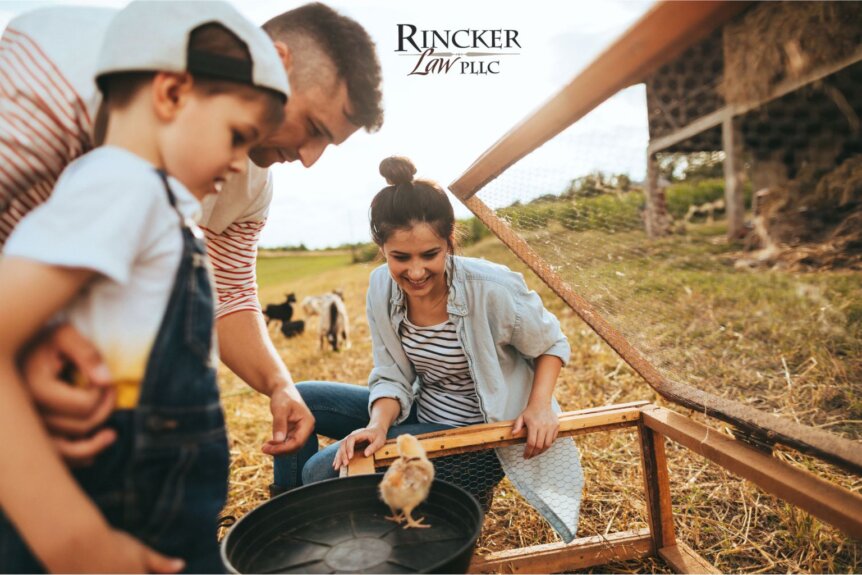 Dividing the Family Farm in an Illinois Divorce