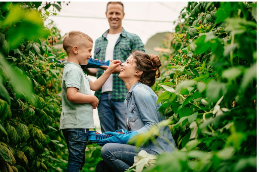 Can My Spouse Force the Sale of Our Family Farm in a Divorce?