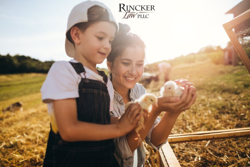 Why Illinois Farm Families Need Outsourced General Counsel: Protecting Land, Legacy, and Business