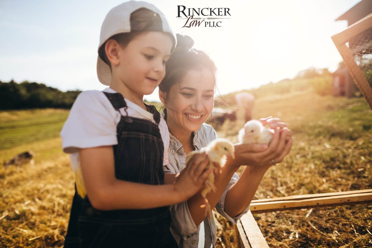 Featured image for “Why Illinois Farm Families Need Outsourced General Counsel: Protecting Land, Legacy, and Business”