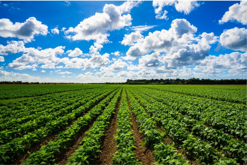 The Role of Mediation in Resolving Agricultural Lease Disputes in Illinois