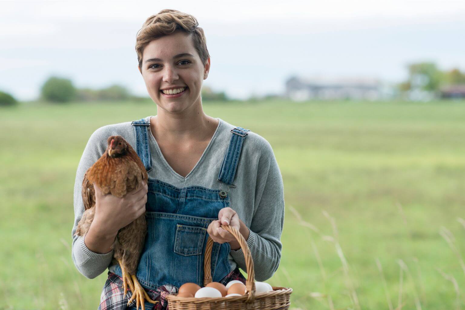 Featured image for “Can the Bank Really Take My Family Farm? What Illinois Farmers Need to Know”
