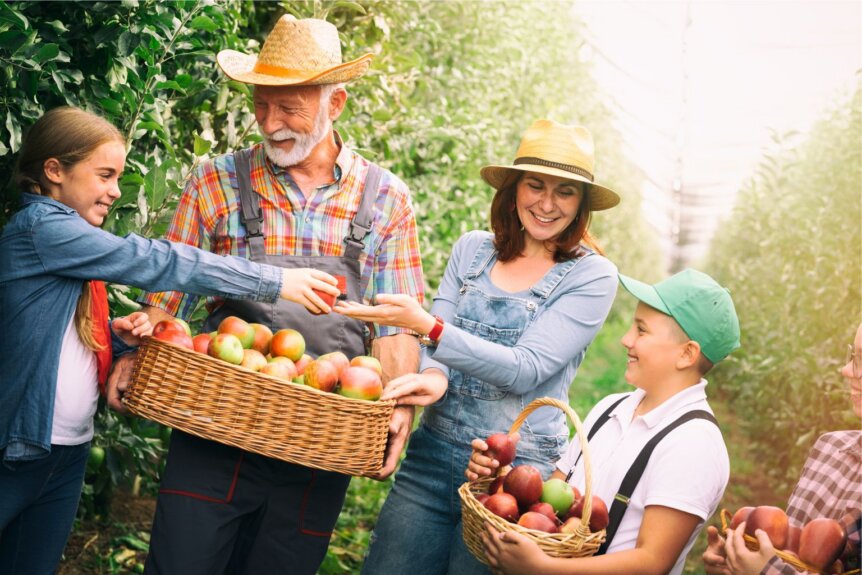 Divorce and the Family Farm in Illinois: Preserving the Farm Legacy℠
