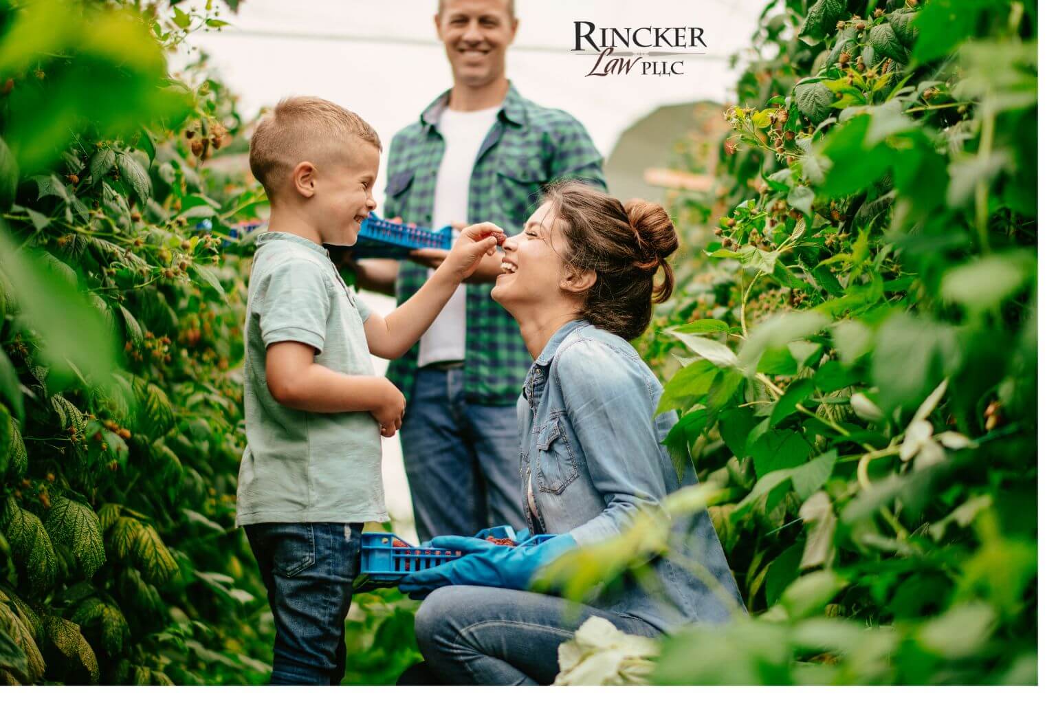 Featured image for “Planning for Divorce as a Farm Owner in Illinois: Protecting Your Agricultural Operation”