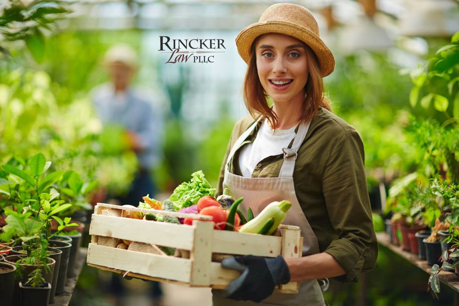 Featured image for “Should I Put My Farm in an LLC in Illinois? What Agricultural Families Need to Know”