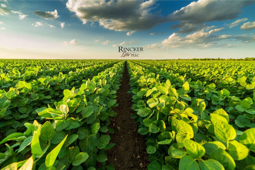 Trademark Protection for Farms, Food Businesses, and Agricultural Brands