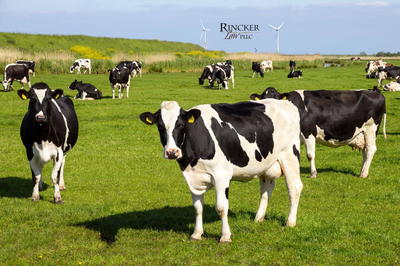 Featured image for “Summer Agritourism Legal Risks: What Farm Owners Should Know”