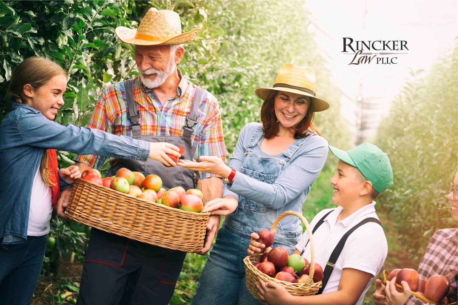 Featured image for “Before Harvest Begins: Family Farm Succession Planning Conversations to Have Now”