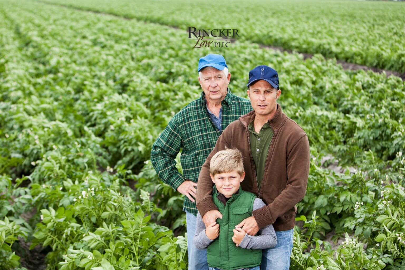 Featured image for “When Family Members Work Together on the Farm: How Mediation Can Resolve Disputes Over Pay, Roles, and Ownership”