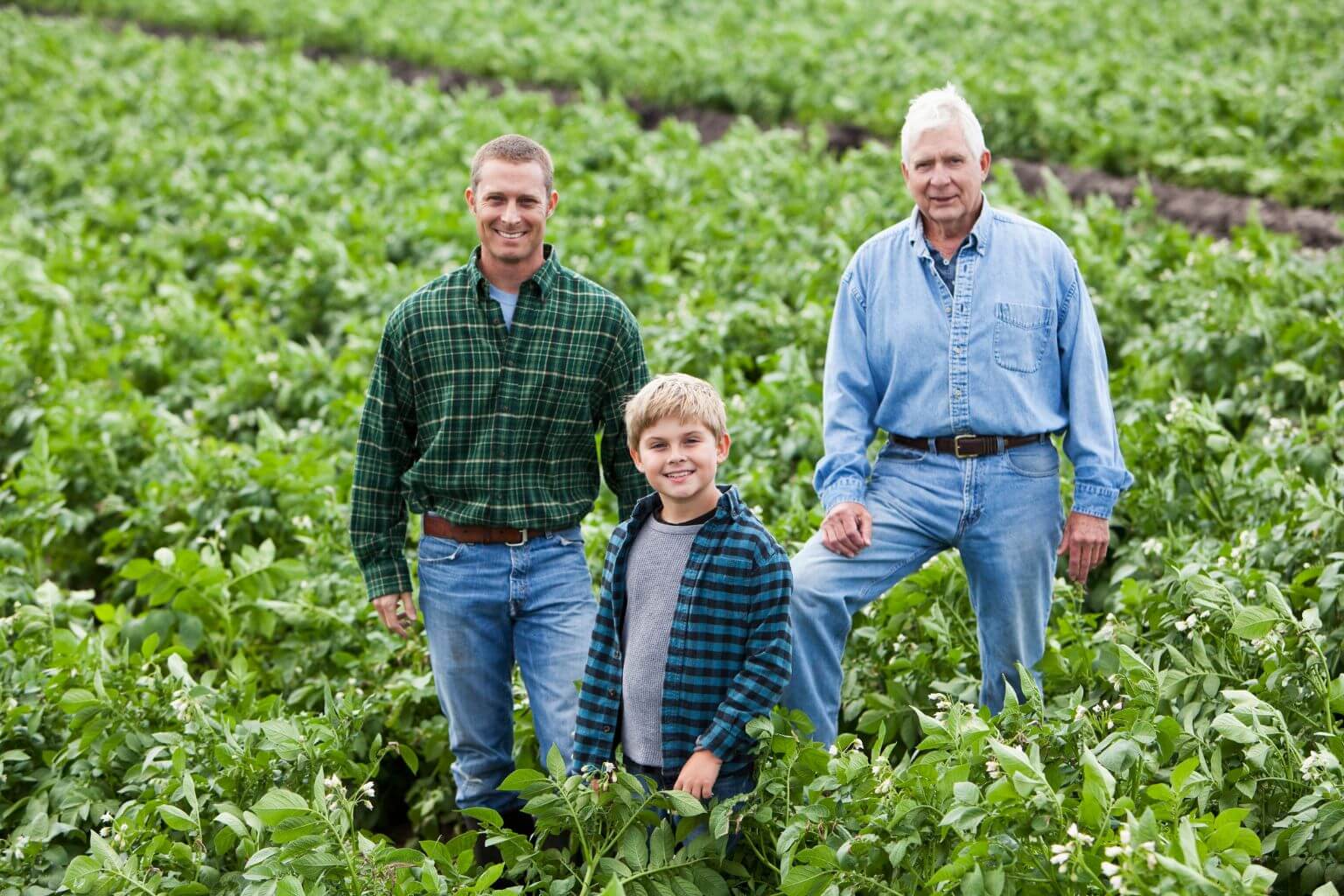 Featured image for “Farm Succession Planning Checklist: What to Gather Before Meeting With an Attorney”